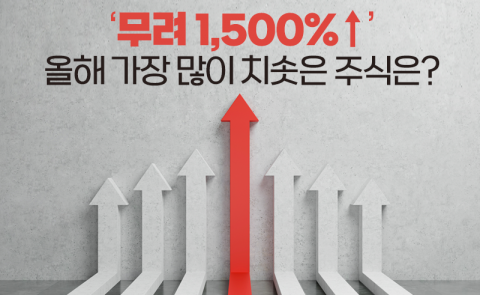 ‘무려 1,500%↑’ 올해 가장 많이 치솟은 주식은?