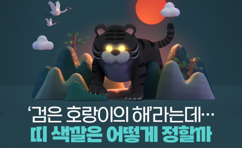‘검은 호랑이의 해’라는데···띠 색깔은 어떻게 정할까