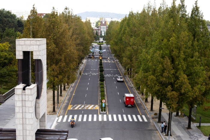 전남대학교 정문, 관현로