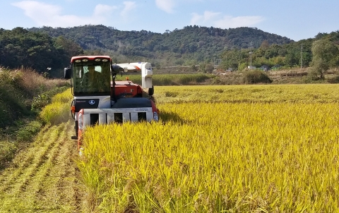 정읍시, 자체 기본형 공익직불금 110억원 1월 중 지급