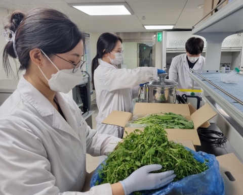 광주시 보건환경연구원, 잔류농약 부적합 농산물 폐기