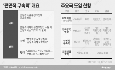 “편면적 구속력, 금감원에 무소불위 권력 주겠다는 것”
