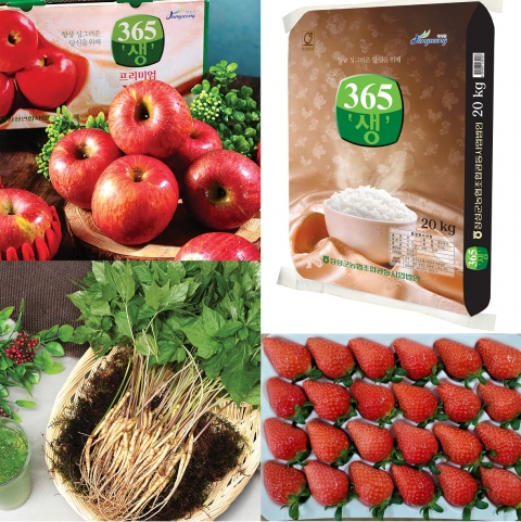 장성군 “설 명절 선물로 ‘옐로우시티 장성’ 농특산물 어때요?”