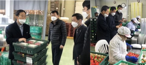전남농협, 설 명절 딸기 출하 현장 점검
