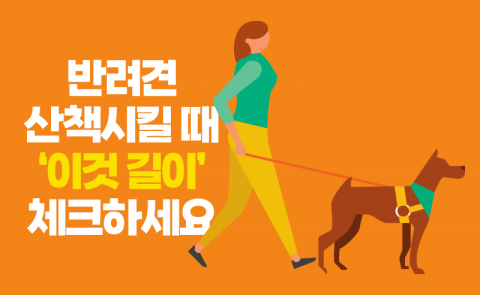 반려견 산책시킬 때 '이것 길이' 체크하세요
