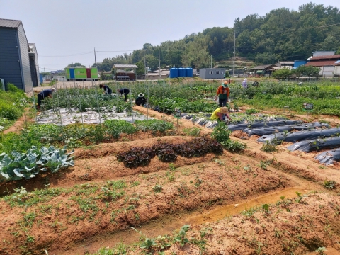 본량농협, 주말농장 총 90구획 텃밭 분양 모집