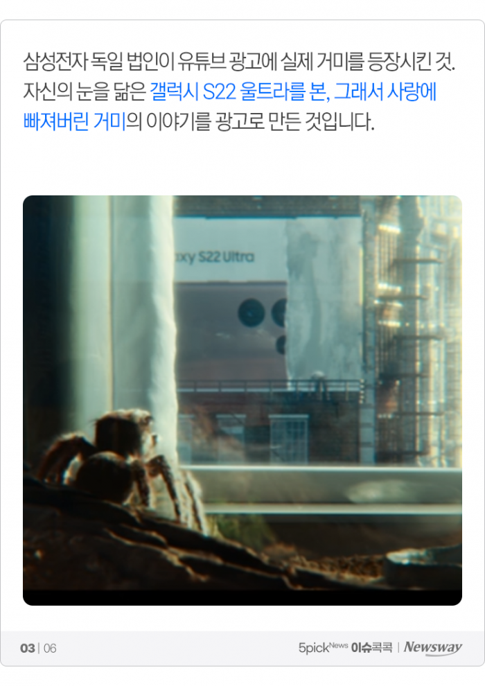 '갤럭시22 거미 같다'는 조롱에 삼성이 한 일 기사의 사진
