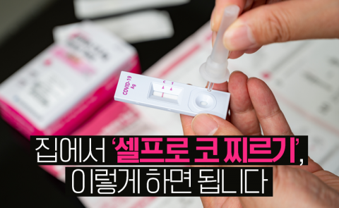 집에서 '셀프로 코 찌르기', 이렇게 하면 됩니다