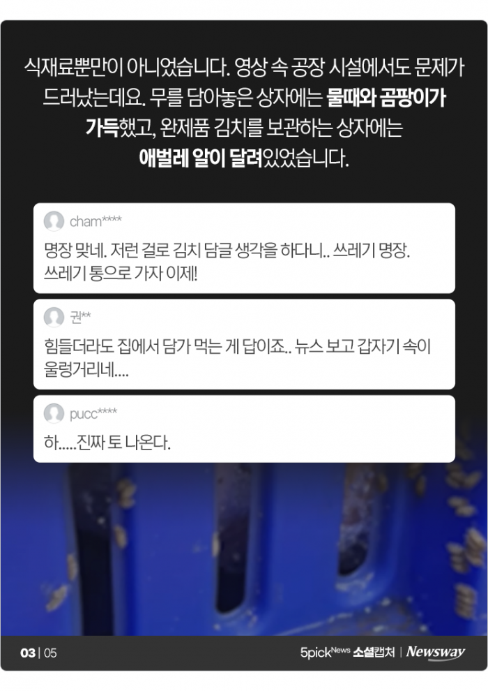 '쉰내에 곰팡이' 충격적인 명장 김치 공장···"쓰레기 명장인가" 기사의 사진