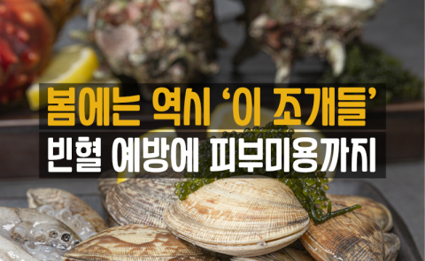 봄에는 역시 '이 조개들'···빈혈 예방부터 피부미용까지