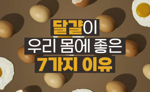 달걀이 우리 몸에 좋은 7가지 이유