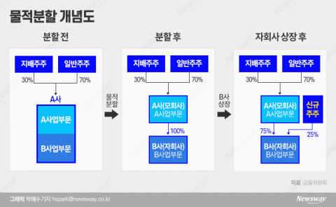  물적분할로 인한 소액주주 피해 막는다···'개미보호 3법'