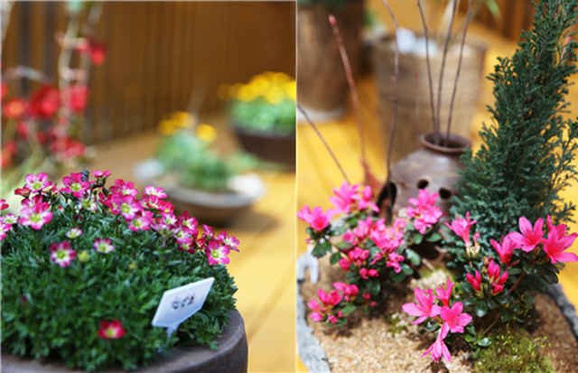 함평군, '꽃향기 가득' 자연생태공원서 봄 만끽하세요