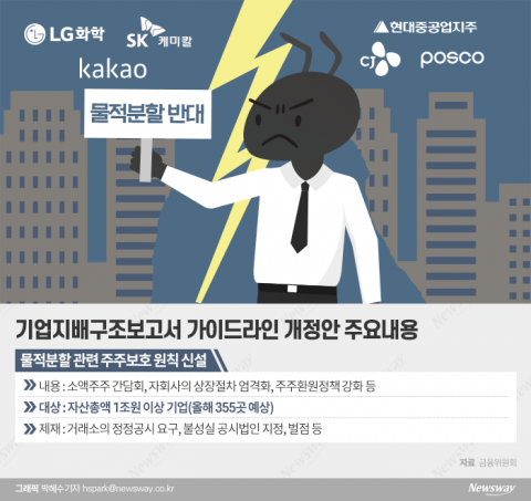전문가 &quot;물적분할 주주보호 자율규제, 실효성 없다&quot;