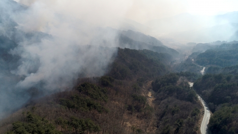 행안위 &quot;강릉·동해 특별재난지역 적극 검토하라&quot;