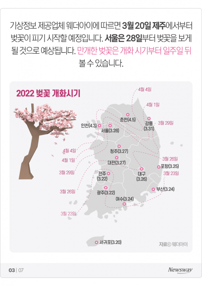 한국인 최애 봄꽃 1위 '○○'···절정은 언제? 기사의 사진