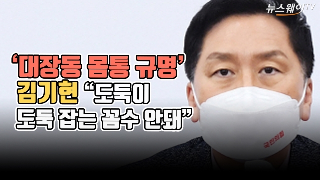 '대장동 몸통 규명'···김기현 "도둑이 도둑 잡는 꼼수 안돼"