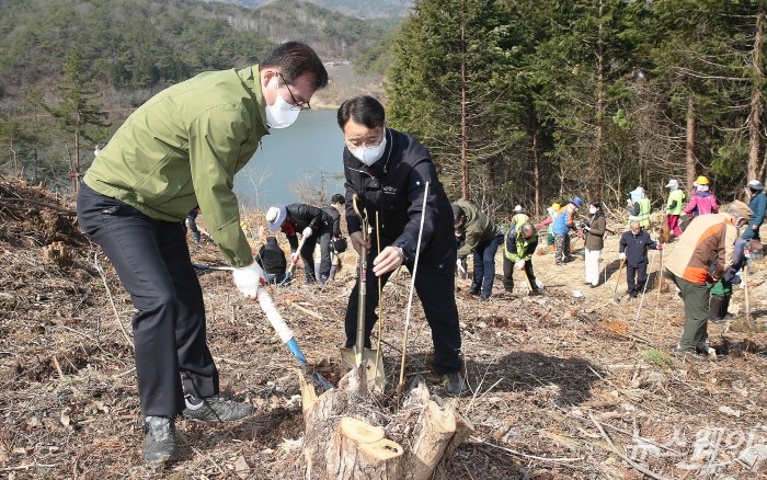 (사진)이상익 군수와 양봉협회 관계자들이 지난 16일 보여리 동정저수지에서 나무를 식재하는 모습