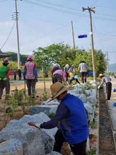 지난해 청정전남 으뜸마을에 선정된 성암마을 주민들이 마을 정화활동 모습