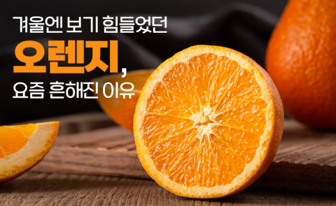 겨울엔 보기 힘들었던 오렌지, 요즘 흔해진 이유