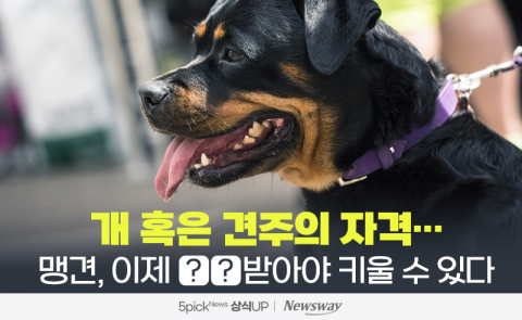 개 혹은 견주의 자격···맹견, 이제 ○○받아야 키울 수 있다