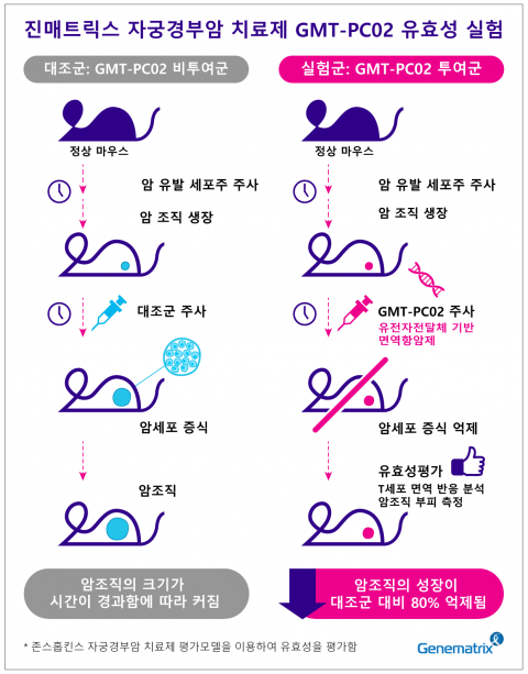 진매트릭스, 자궁경부암 치료제 후보물질 국제특허 출원