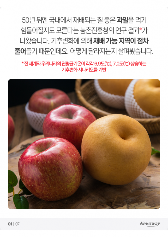 질 좋은 국산 사과·배를 못 먹을지도 모른다? 기사의 사진