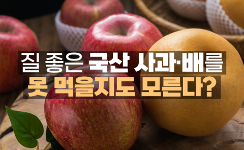 질 좋은 국산 사과·배를 못 먹을지도 모른다?