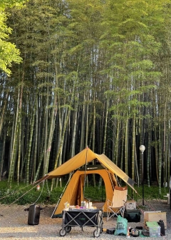 광주신세계, 신세계 앱을 통해 캠핑 라이브방송 진행 기사의 사진