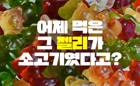 어제 먹은 그 젤리가 소고기였다고?