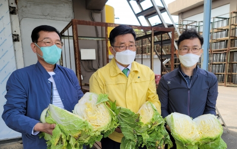 aT, 정부비축 배추 품위점검으로 식생활 안전관리