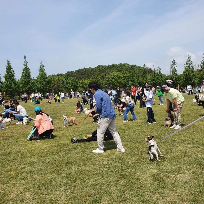 목포시가 7일 삼학도 공원에서 '2022 목포 반려견 페스티벌'을 개최하고 있다.