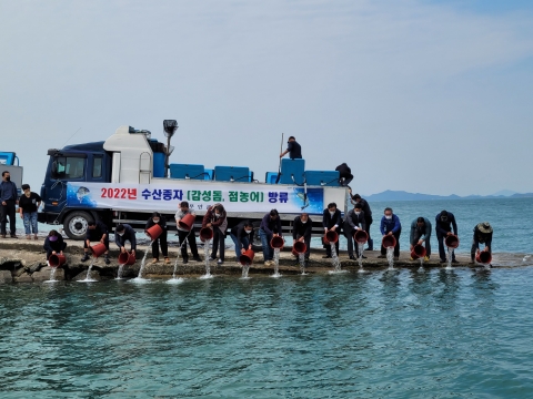 무안군, 감성돔 등 수산종자 방류