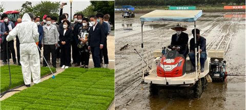 전남농협, 탄소중립 실천을 위한 벼 생력재배 현장 연시회