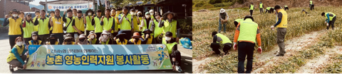 전남농협 임직원, 펜을 놓고 일손부족 현장으로 출근