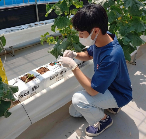 담양군, 원예작물 바이러스 진단 현장 기술 지원