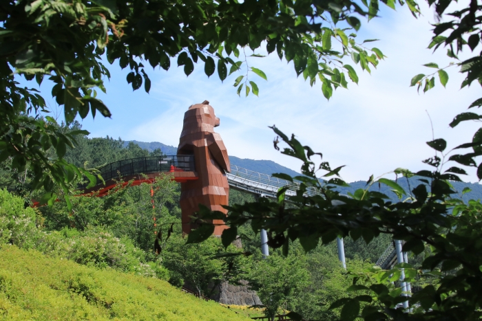 보성군 제암산자연휴양림 곰썰매 전경