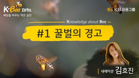 KB금융, 세계 환경의 날 맞아 '꿀벌의 경고' 영상 공개