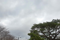 [오늘 날씨]전국 흐리고 곳곳에 약한 비···한낮 '선선'