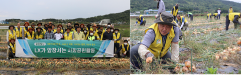 LX광주전남본부, 양파 수확으로 지역 농가 일손 나눔