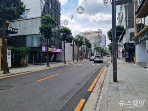 돌아오지 않은 봄···'브런치 명소' 무너진 가로수길