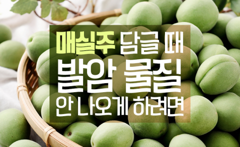 매실주 담글 때 발암 물질 안 나오게 하려면