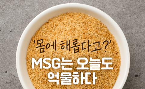 '몸에 해롭다고?' MSG는 오늘도 억울하다
