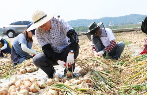 나주대전환 윤병태 나주시장직 인수위, 농촌 일손 돕기 지원