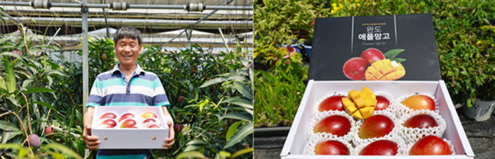 '맛과 향' 뛰어난 완도산 