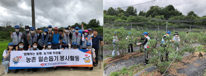 도공 광주전남본부, 농촌 일손돕기 봉사활동 모습