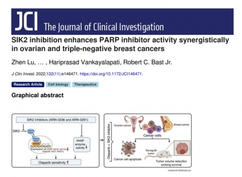 엠투엔, 항암제 GRN-300 국제 학술지에서 효능 인정