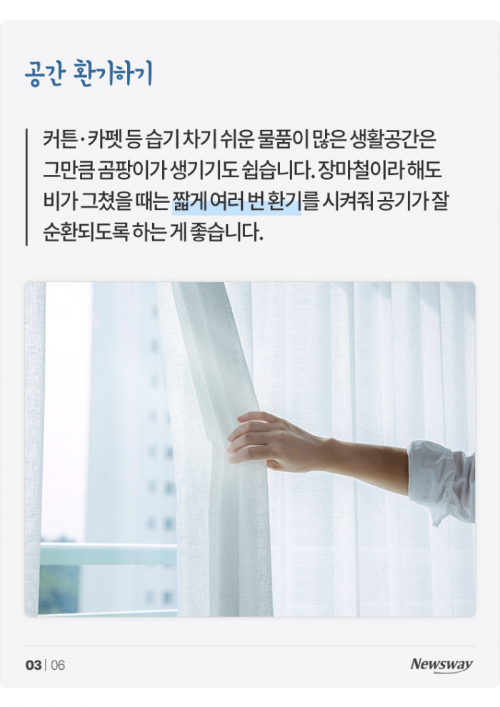 흠뻑쇼가 따로 없는 요즘, 생활 속 습기 제거 어떻게? 기사의 사진