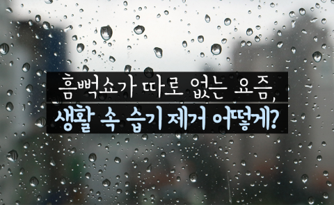 흠뻑쇼가 따로 없는 요즘, 생활 속 습기 제거 어떻게?