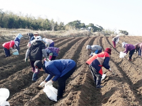 정읍시, 외국인 계절근로자 40명 농가 배정 예정